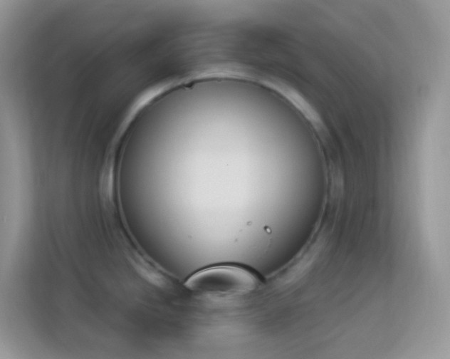 X0000114241246200910091502