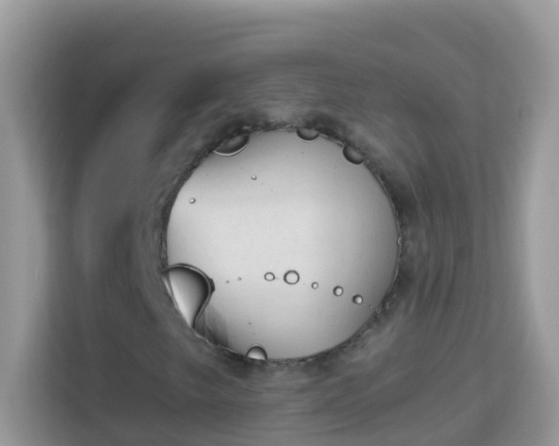 X0000114241249200910091502