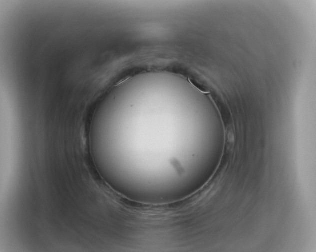 X0000114241252200910091502