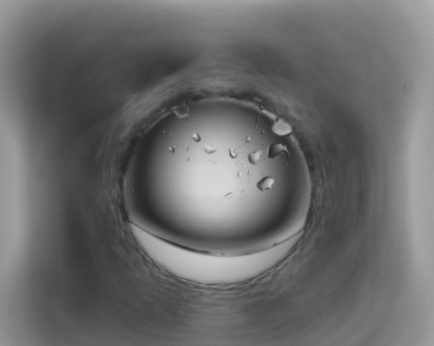X0000114241253200910091502