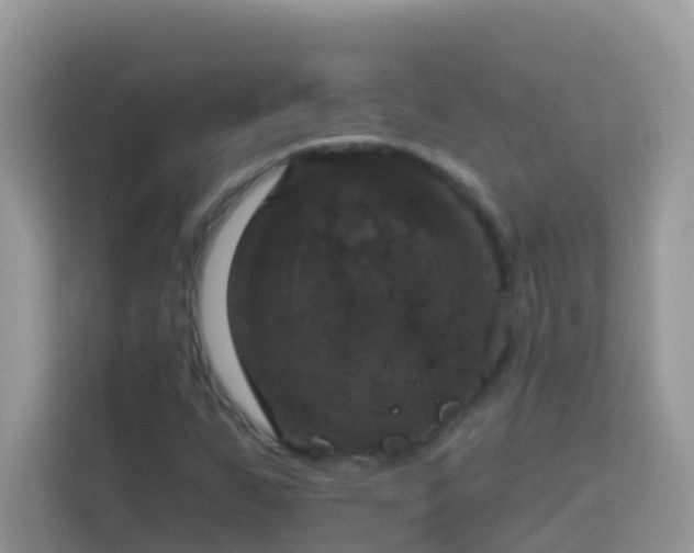 X0000114241255200910091502