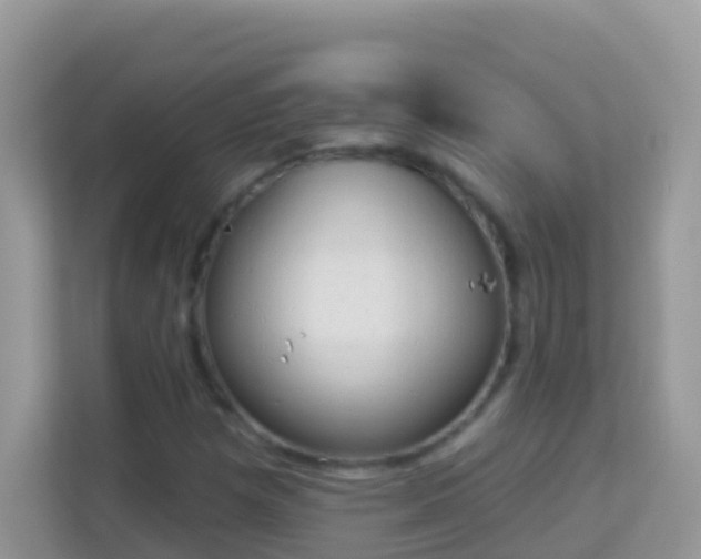X0000114241257200910091501