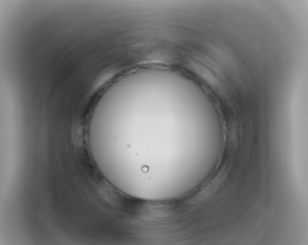 X0000114241258200910091501