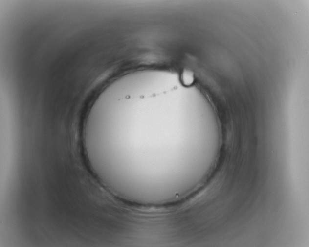 X0000114241261200910091501