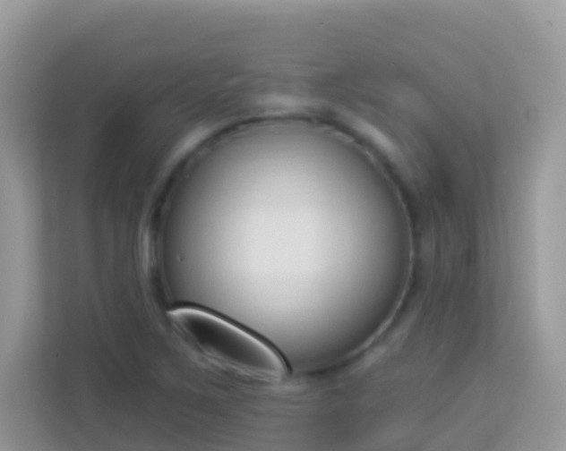 X0000114241267200910091501
