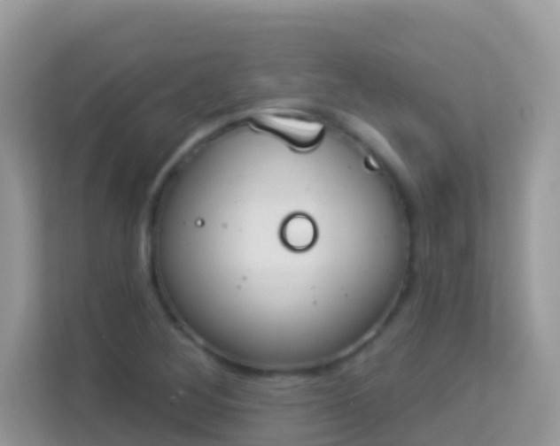 X0000114241268200910091501