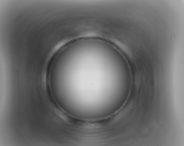 X0000114241270200910091501
