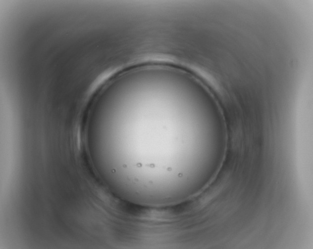 X0000114241271200910091501