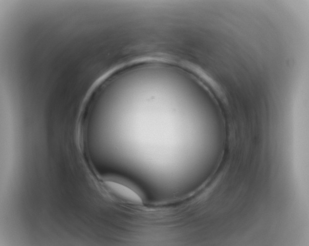 X0000114241272200910091501