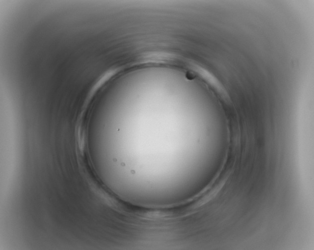 X0000114241275200910091501