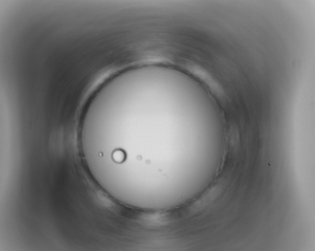 X0000114241278200910091501