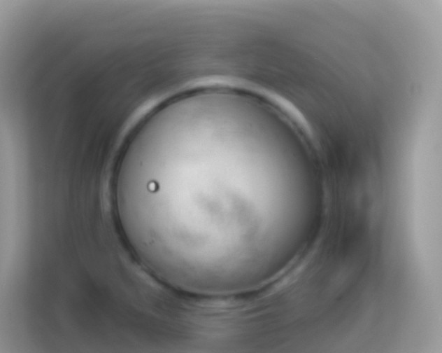 X0000114241279200910091501