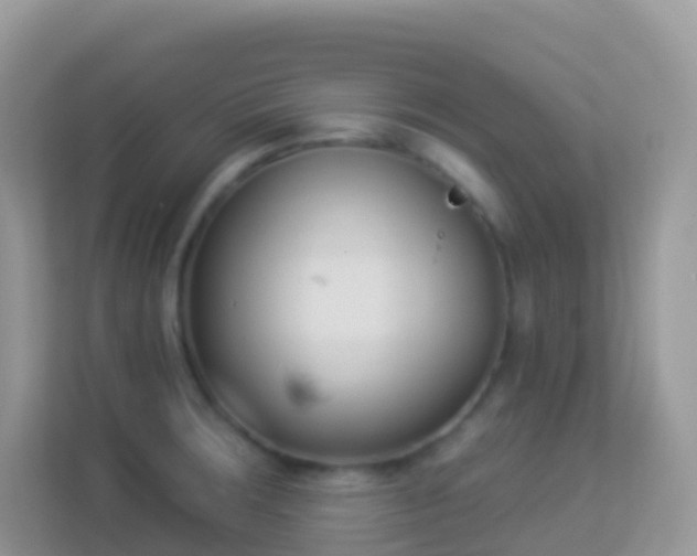 X0000114241283200910091501