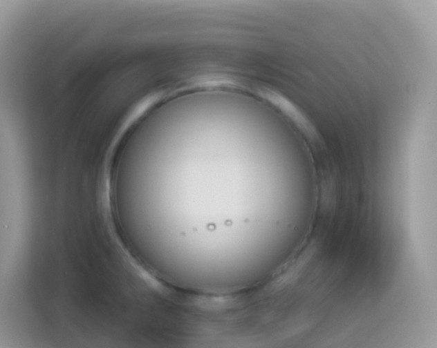 X0000114241286200910091501