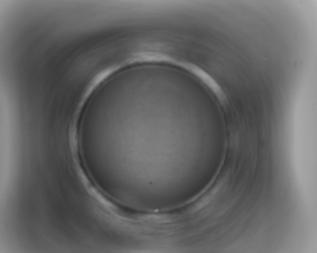 X0000114241287200910091501