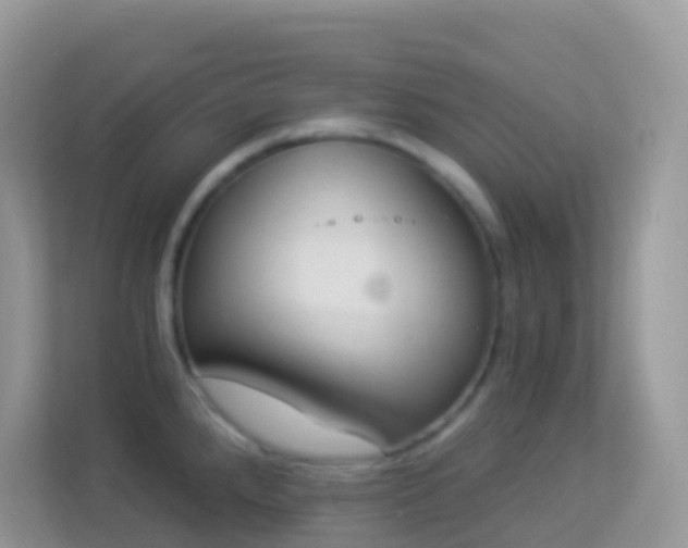 X0000114241288200910091501