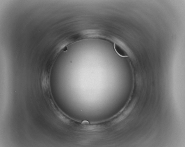 X0000114241289200910091501
