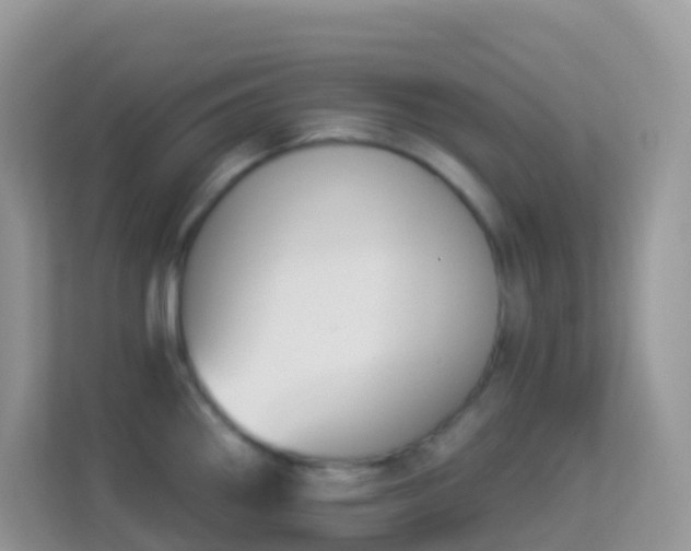 X0000114241290200910091501
