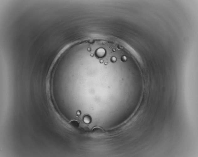 X0000114241291200910091501