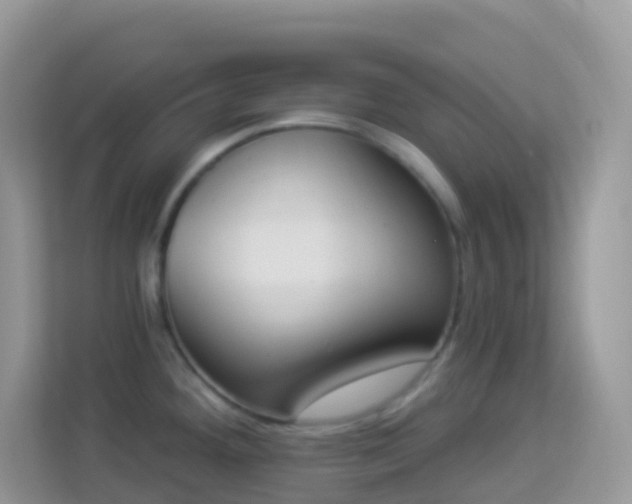 X0000114241292200910091501
