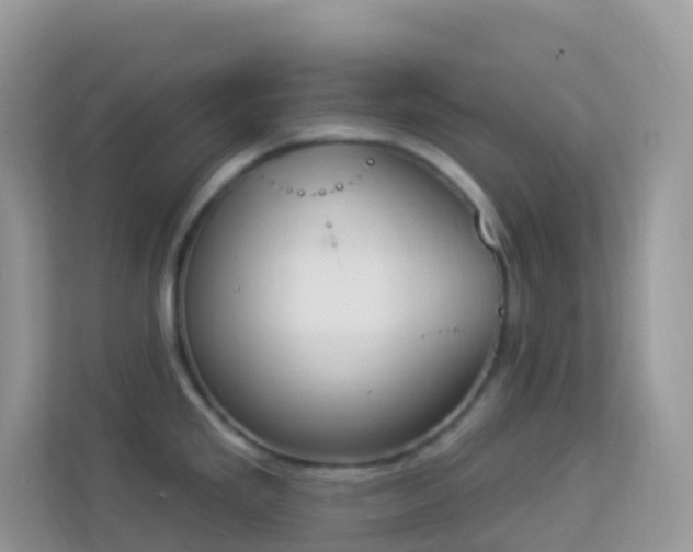X0000114241293200910091501