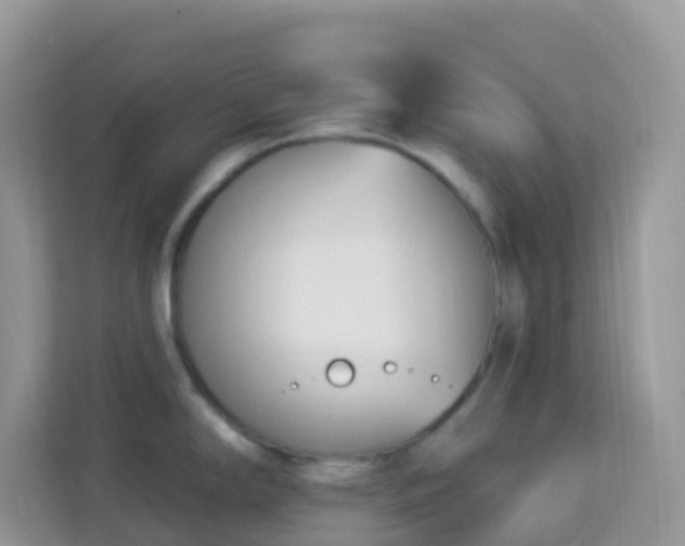 X0000114241294200910091501