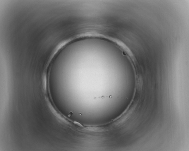 X0000114241295200910091501
