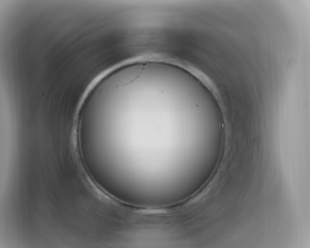 X0000114241296200910091501