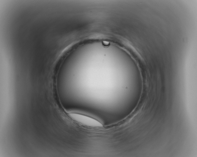X0000114241304200910091500