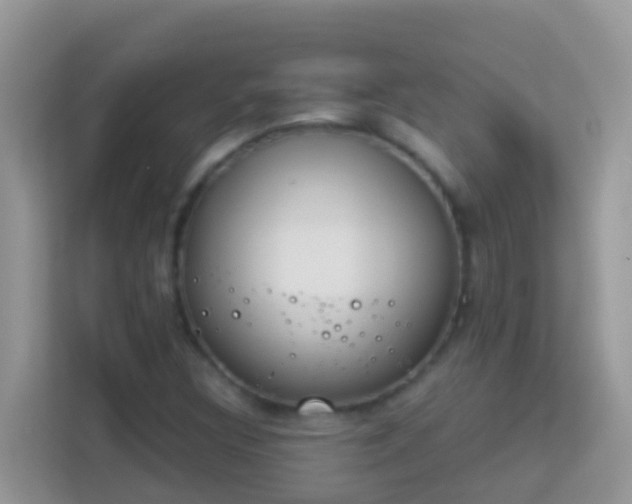X0000114241308200910091501