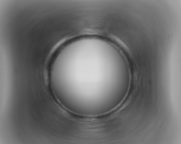X0000114241310200910091501
