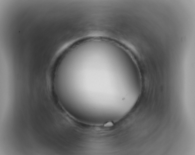 X0000114241311200910091501