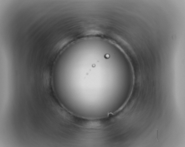 X0000114241313200910091501