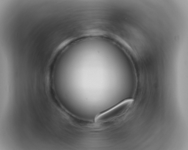 X0000114241315200910091501