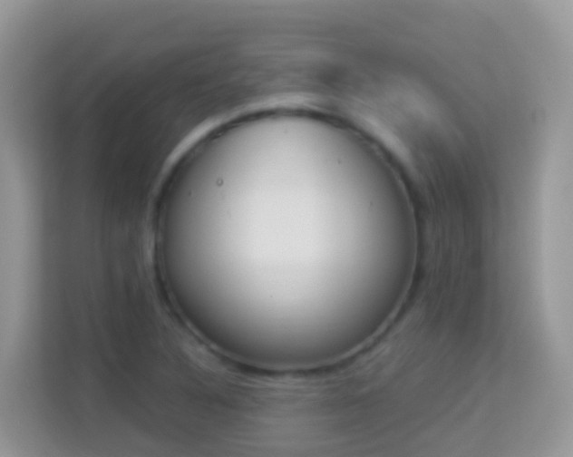 X0000114241316200910091501