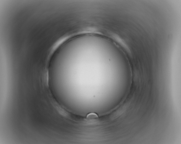 X0000114241320200910091501
