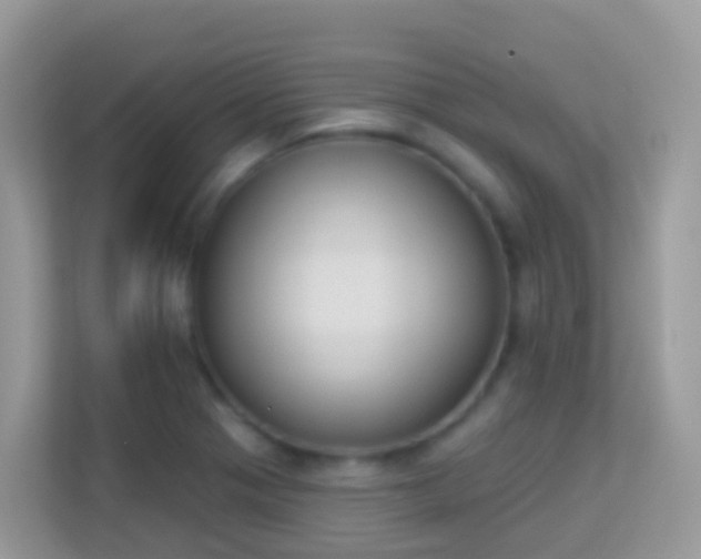 X0000114241321200910091501