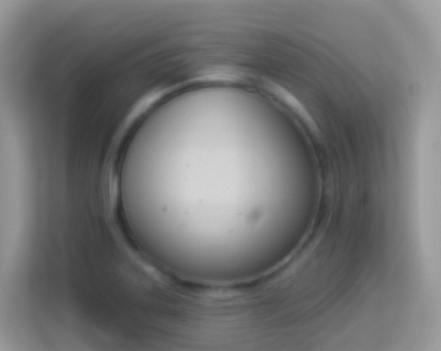 X0000114241323200910091501