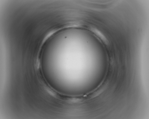 X0000114241324200910091501