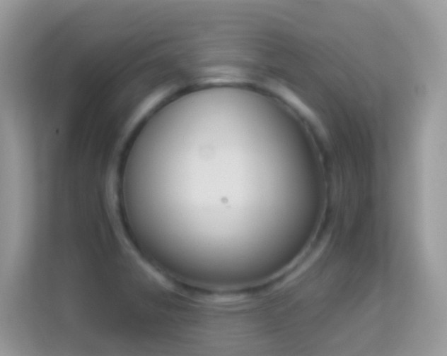 X0000114241325200910091501