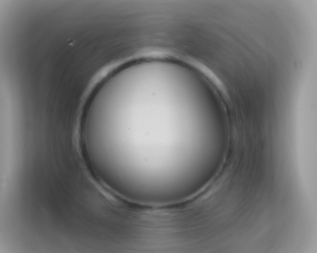 X0000114241327200910091501
