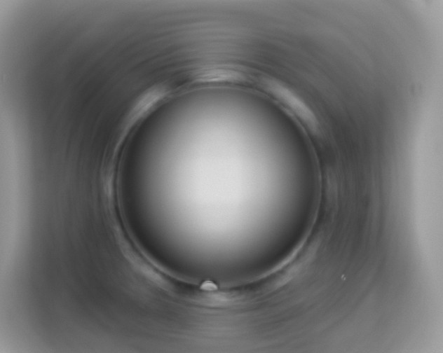 X0000114241330200910091501