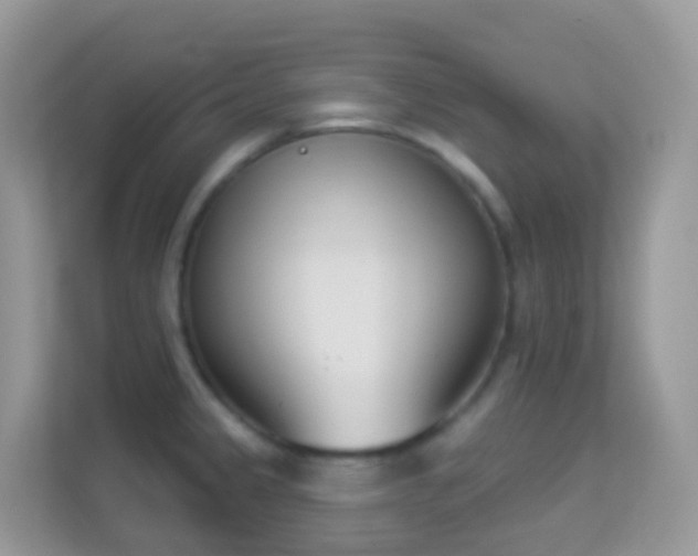X0000114241333200910091501