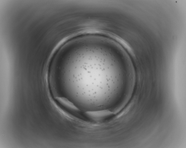 X0000114241334200910091501