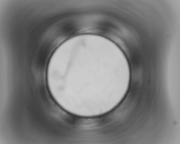 X0000114241338200910091501