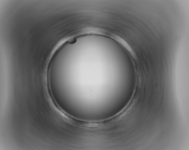 X0000114241339200910091501