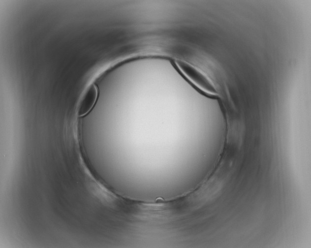 X0000114241342200910091501