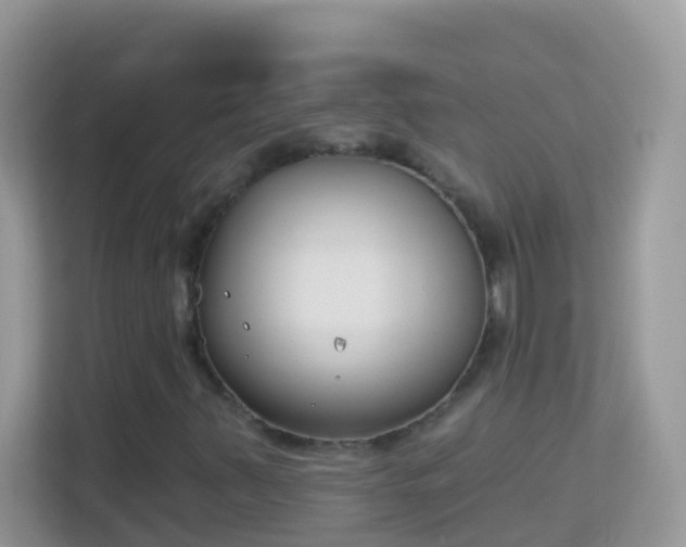 X0000114241347200910091500