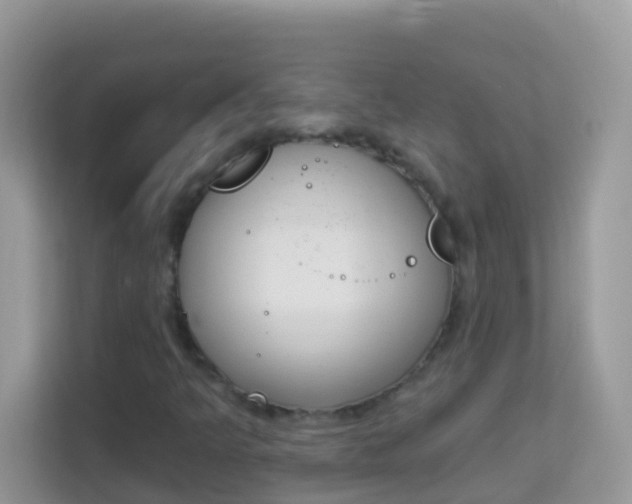 X0000114241349200910091500