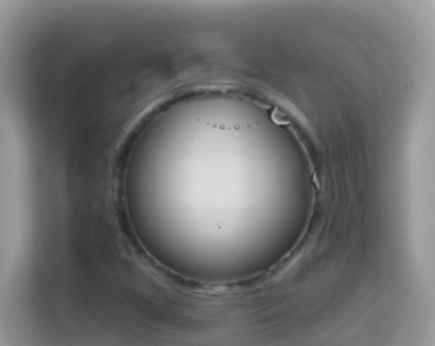 X0000114241352200910091500